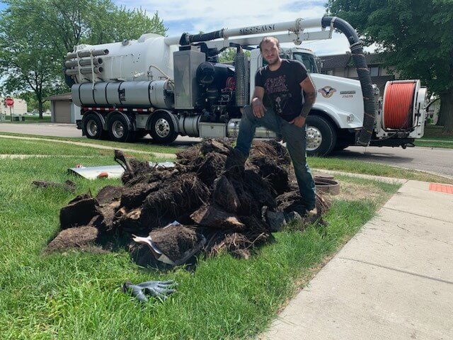 Tree Root Removal in McHenry, IL